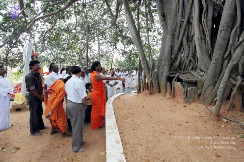 File:20091220IMG 4661 CMP WM001.jpg