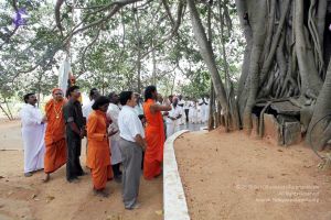 20091220IMG 4662 CMP WM001.jpg