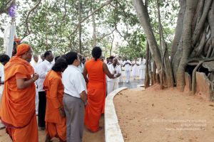 20091220IMG 4663 CMP WM001.jpg