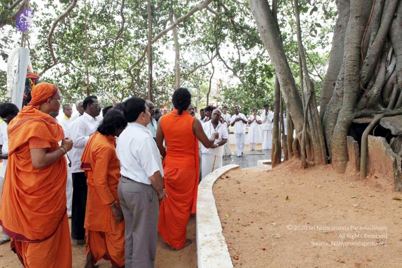 File:20091220IMG 4663 CMP WM001.jpg