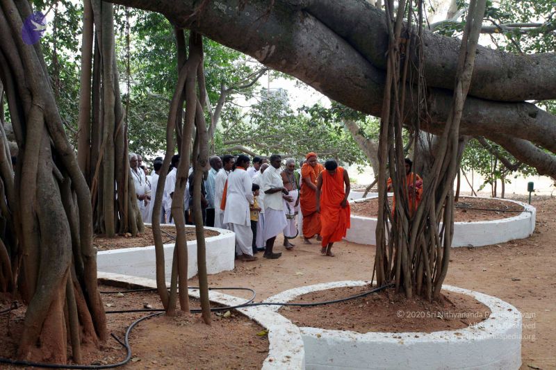 File:20091220IMG 4665 CMP WM001.jpg