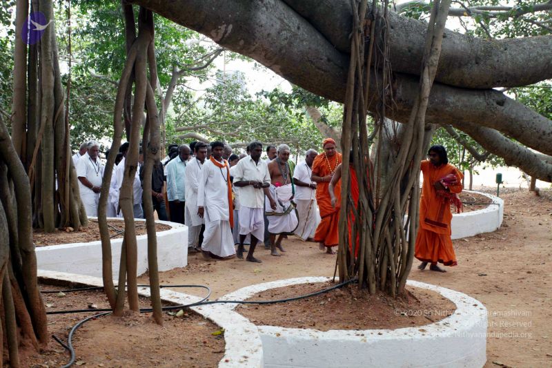 File:20091220IMG 4666 CMP WM001.jpg