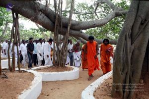 20091220IMG 4667 CMP WM001.jpg