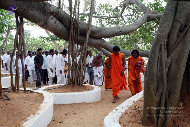 File:20091220IMG 4667 CMP WM001.jpg