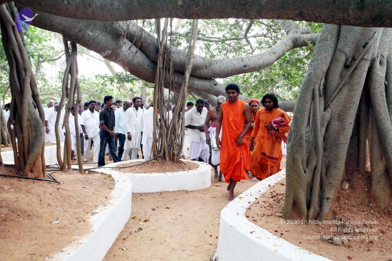 File:20091220IMG 4668 CMP WM001.jpg