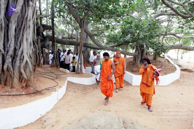 20091220IMG 4669 CMP WM001.jpg