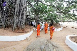 20091220IMG 4670 CMP WM001.jpg