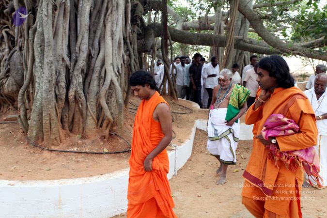 20091220IMG 4671 CMP WM001.jpg