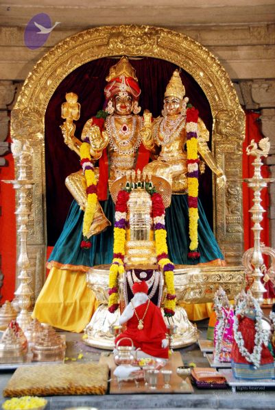 File:20091221DSC 0545 CMP WM001.jpg