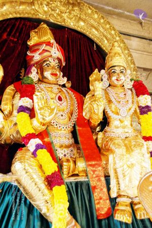 20091221DSC 0555 CMP WM001000.jpg