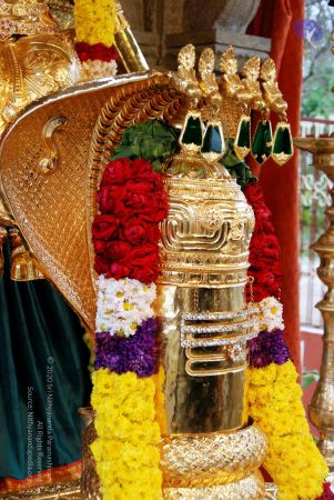 20091221DSC 0558 CMP WM001000.jpg