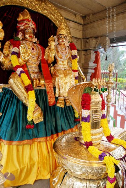 File:20091221DSC 0562 CMP WM001000.jpg