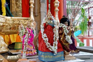 20091221DSC 0564 CMP WM001.jpg