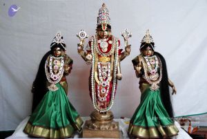 20091221DSC 0587 CMP WM001000.jpg