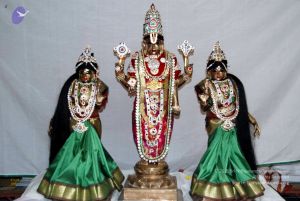 20091221DSC 0588 CMP WM001000.jpg