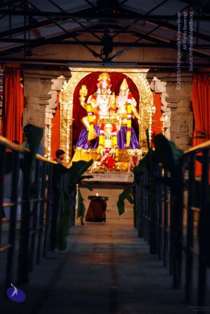 20091221DSC 0607 CMP WM001.jpg