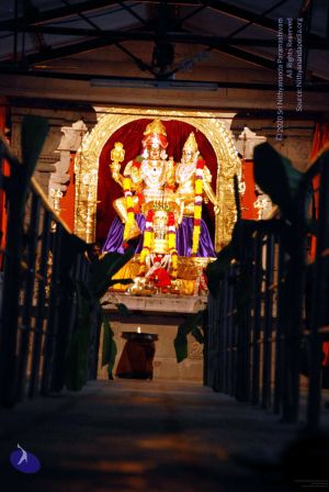 20091221DSC 0614 CMP WM001000.jpg