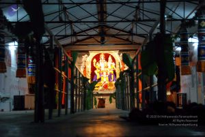 20091221DSC 0617 CMP WM001.jpg