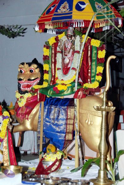 File:20091221DSC 0648 CMP WM001000.jpg