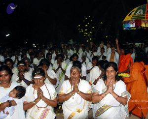 20091221DSC 0732 CMP WM001000.jpg