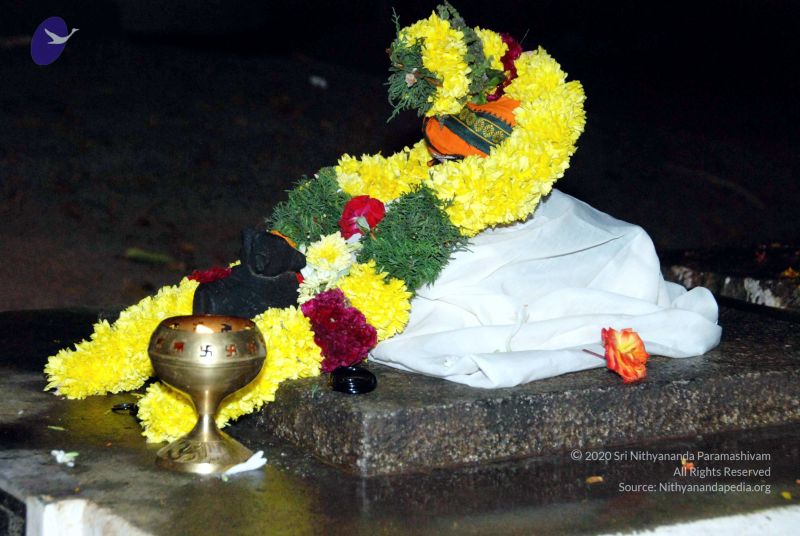 File:20091222DSC 1023 CMP WM001000.jpg