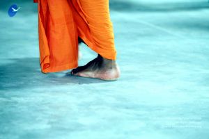 20091222IMG 5600 CMP WM001000.jpg