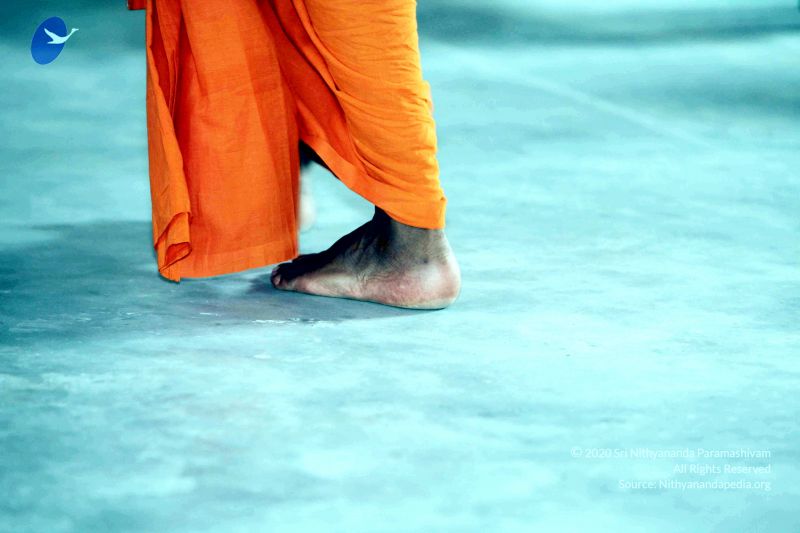 File:20091222IMG 5600 CMP WM001000.jpg