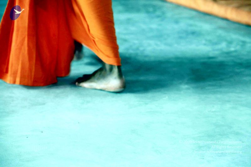 File:20091222IMG 5623 CMP WM001000.jpg