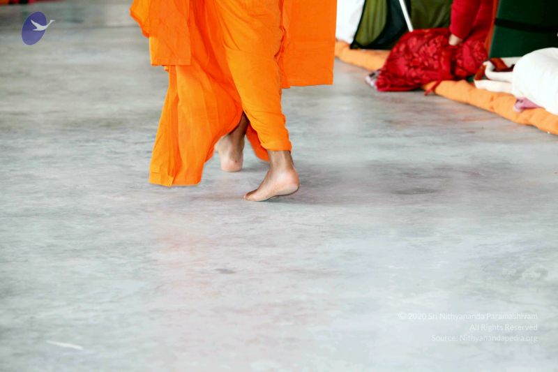 File:20091222IMG 5624 CMP WM001000.jpg