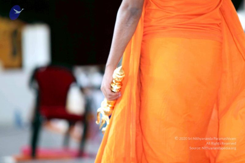 File:20091222IMG 5699 CMP WM001000.jpg