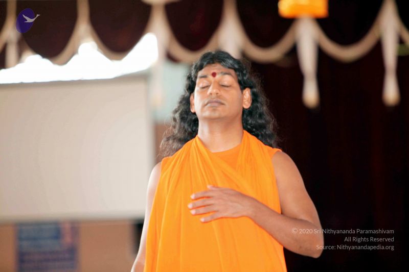 File:20091222IMG 5712 CMP WM001000.jpg