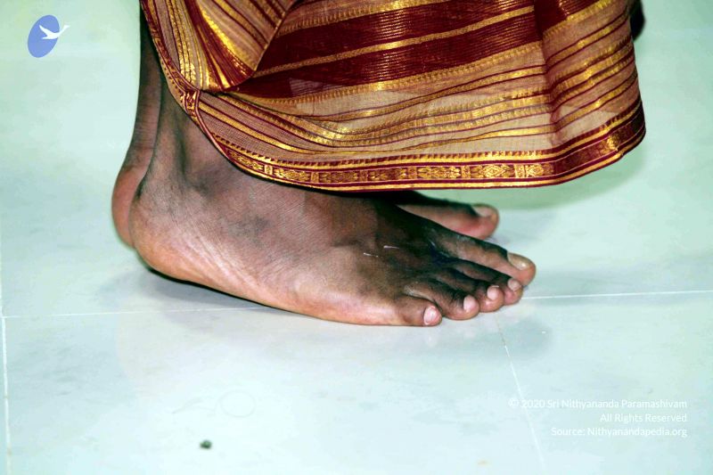 File:20091222IMG 6275 CMP WM001000.jpg