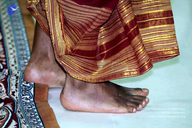 File:20091222IMG 6276 CMP WM001000.jpg