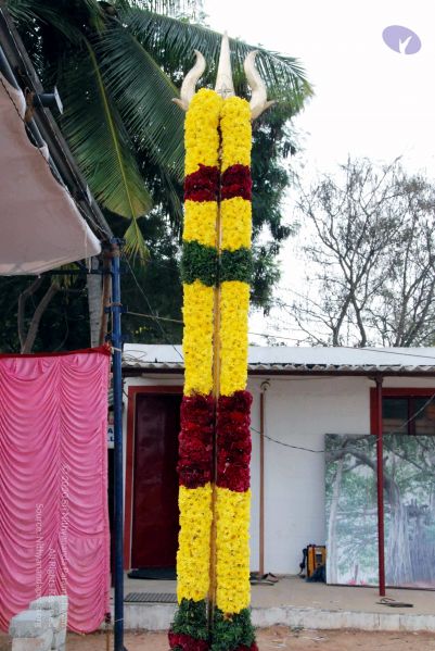 File:20091224DSC 2305 CMP WM001000.jpg