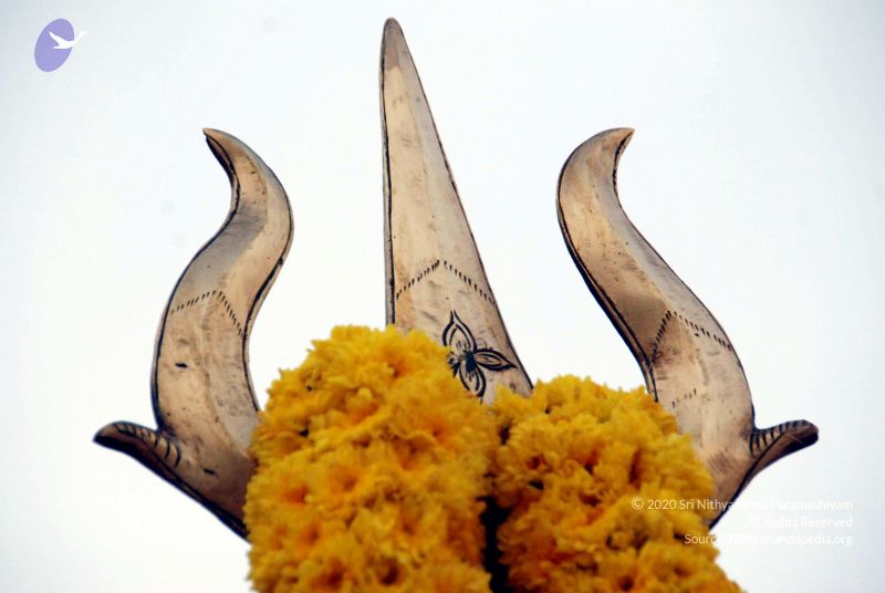 File:20091224DSC 2308 CMP WM001000.jpg