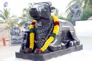 20091224DSC 2310 CMP WM001000.jpg