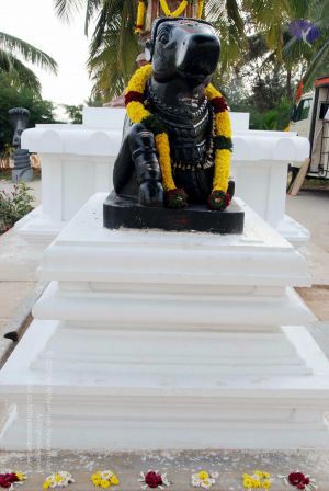 20091224DSC 2313 CMP WM001000.jpg