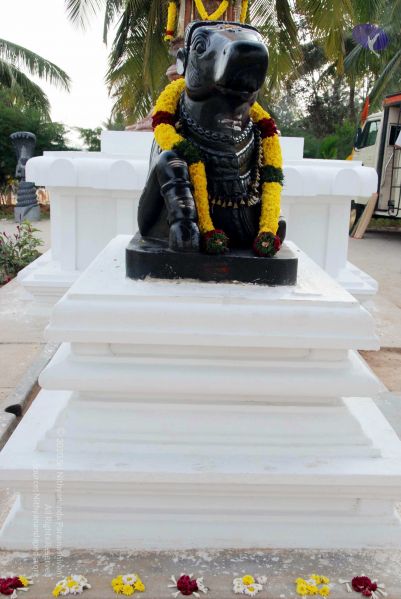 File:20091224DSC 2313 CMP WM001000.jpg