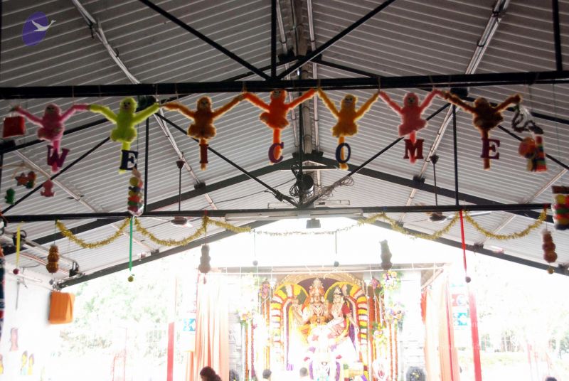 File:20091224DSC 2318 CMP WM001000.jpg