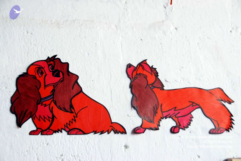 File:20091224DSC 2330 CMP WM001000.jpg