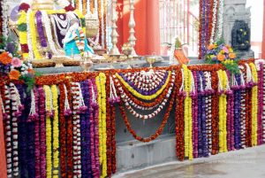 20091224DSC 2338 CMP WM001000.jpg