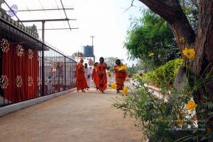 20091224DSC 2397 CMP WM001000.jpg