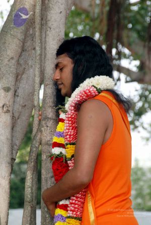 20091224DSC 2407 CMP WM001000.jpg