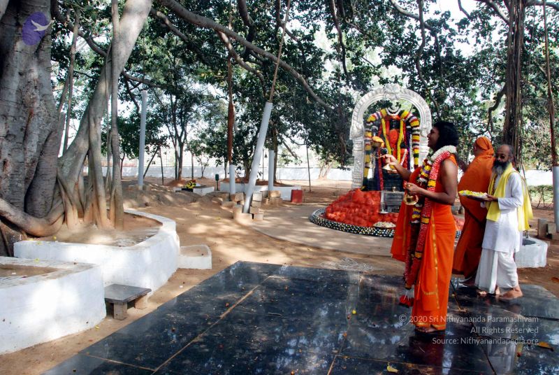 File:20091224DSC 2410 CMP WM001000.jpg