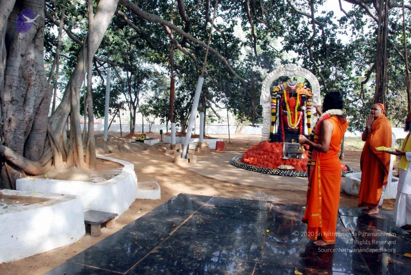 File:20091224DSC 2411 CMP WM001000.jpg