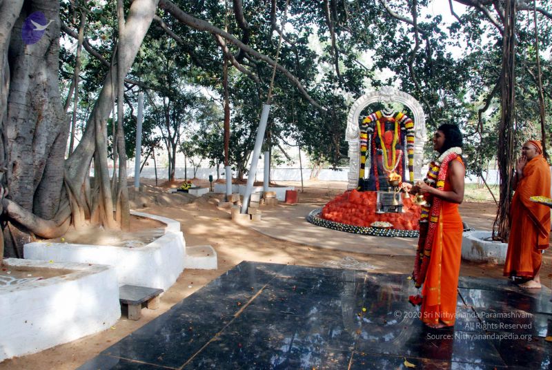 File:20091224DSC 2412 CMP WM001000.jpg