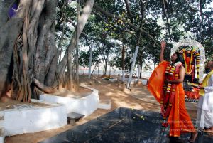 20091224DSC 2415 CMP WM001000.jpg