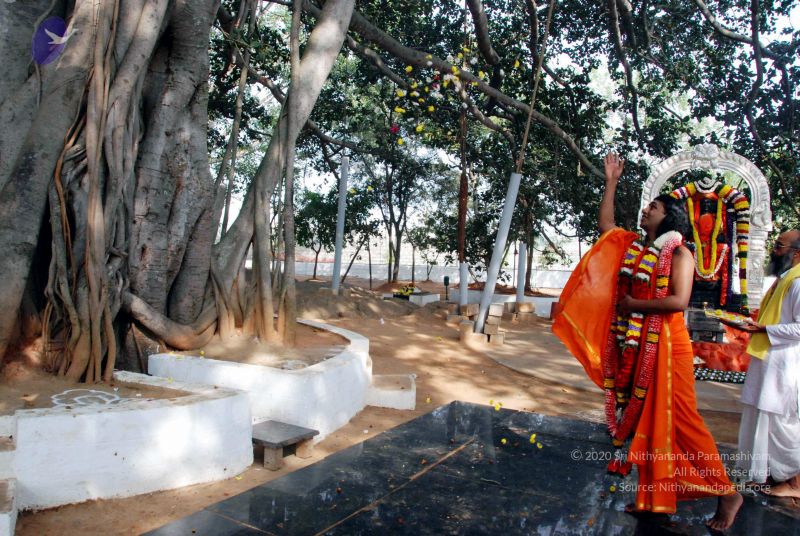 File:20091224DSC 2415 CMP WM001000.jpg