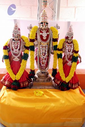 20091224DSC 2524 CMP WM001000.jpg