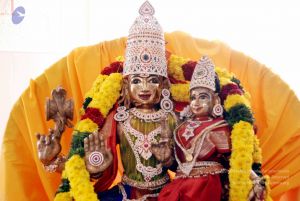 20091224DSC 2530 CMP WM001000.jpg